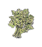 GardenPoems-Jul24-03-176