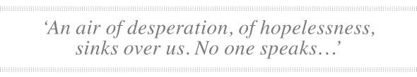 MyDonkey-Apr17-04-590-quote