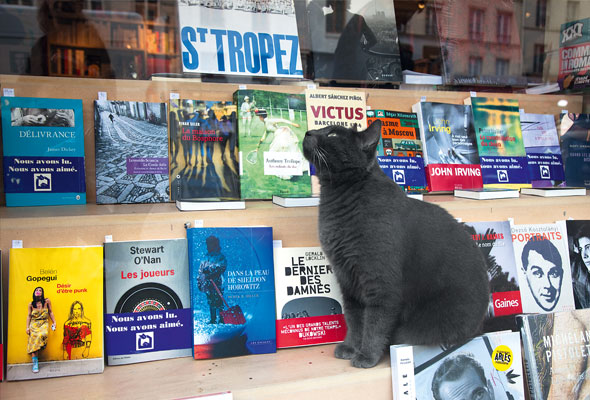ParisCats-Apr24-02-590