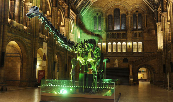 Dippy-Aug14-02-590