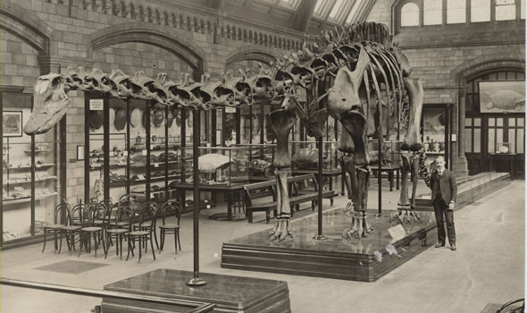 Dippy-Aug14-03-590