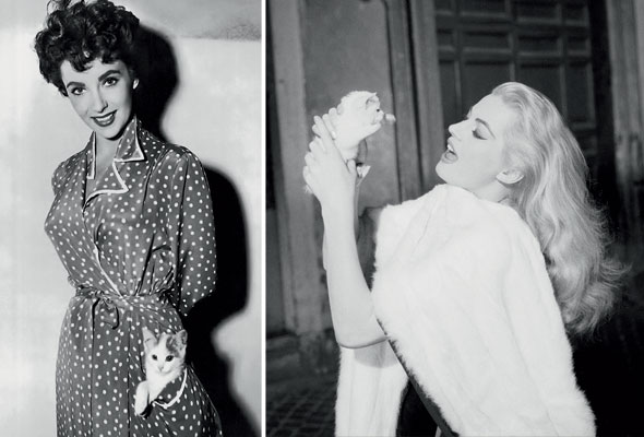HollywoodCats-Jan30-02-590