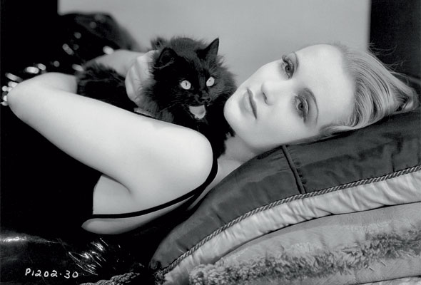HollywoodCats-Jan30-03-590