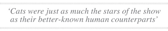 HollywoodCats-Jan30-04-590-quote