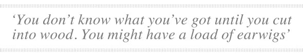 Mayflower-May29-06-590-quote