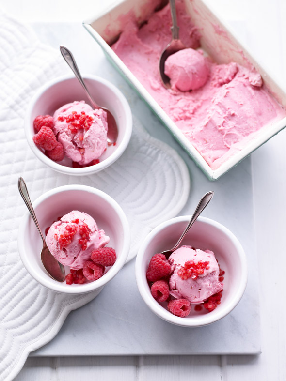 berryworld-raspberry-froyo