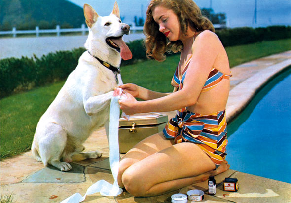 Norma Jeane bandaging Rolf's 'injured paw' for a pharmaceutical advertisement. Shrewdly, shen she saw the proofs she noticed the dog stole the show and never let it happen again